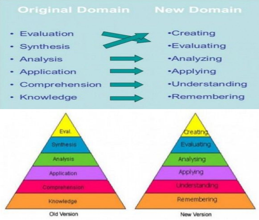 Taxonomia Bloom Images