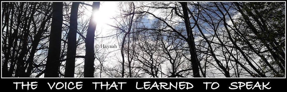 Business office phone system for seamless communication