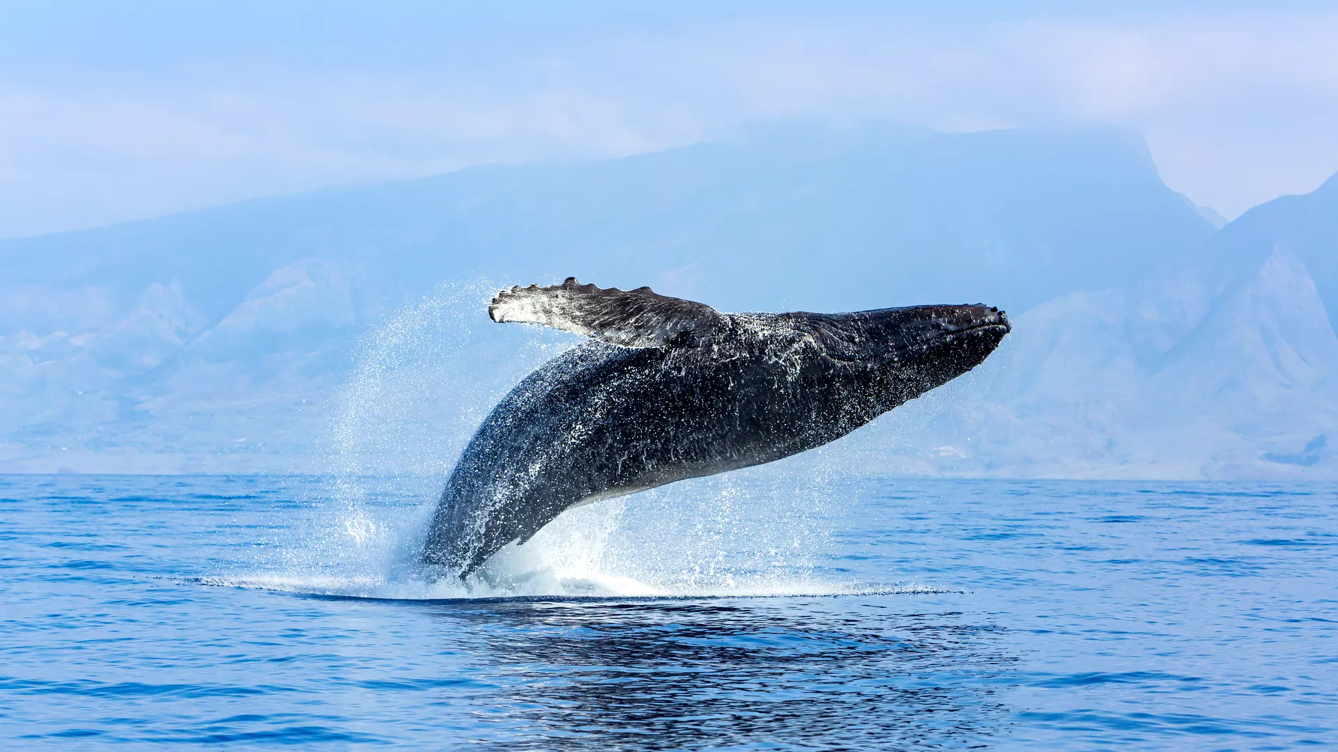 Information security courses online unlock your future